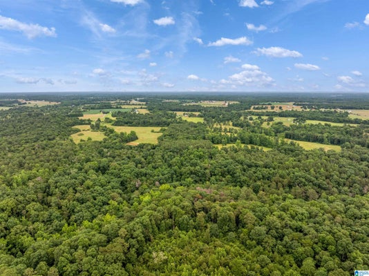 COUNTY RD 605, SECTION, AL 35771 - Image f3e631c63f7afa280d7abe90d91732d2/3619482425
