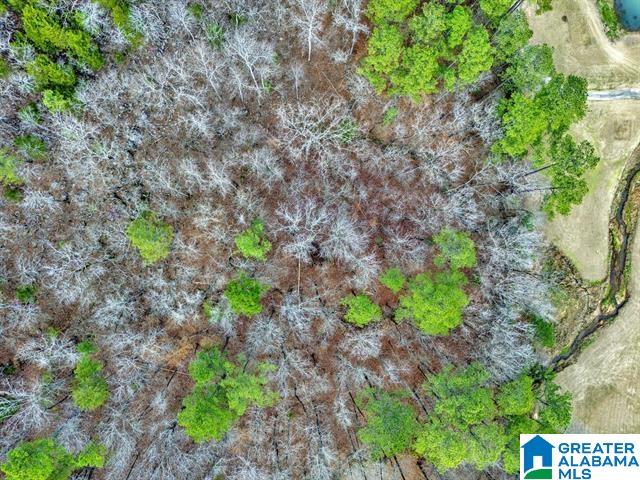 0 BELLERIVE CIRCLE 1