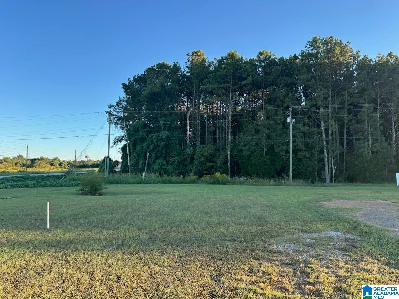 99 BLUE EYE ROAD /15#