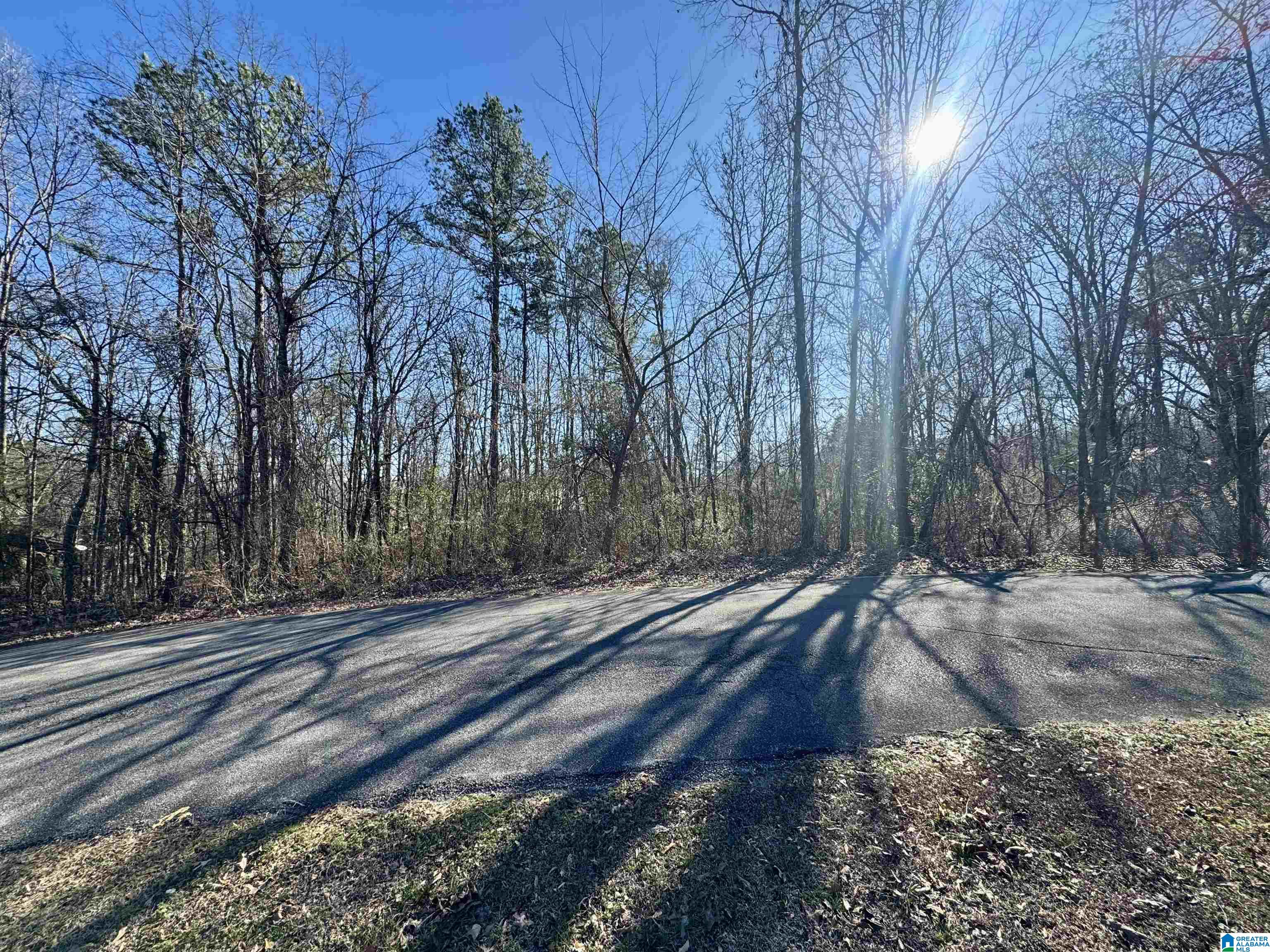 Photo 1 of 5 — 0 SILVER CIRCLE 5, JACKSONVILLE, AL 36265