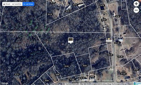 4223 LEVINE AVENUE 5 acres GRAYSVILLE AL 35073