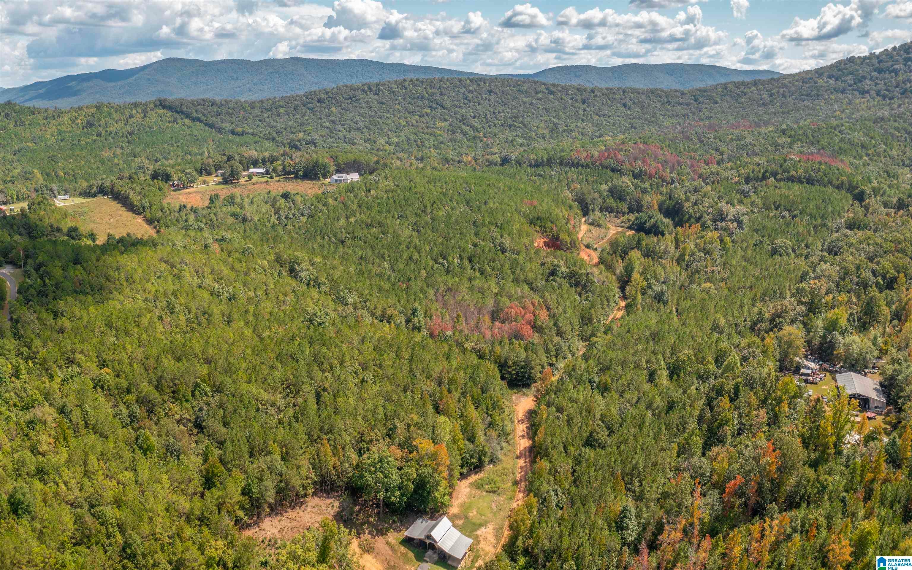 3 Acres FOREST EDGE LANE 20