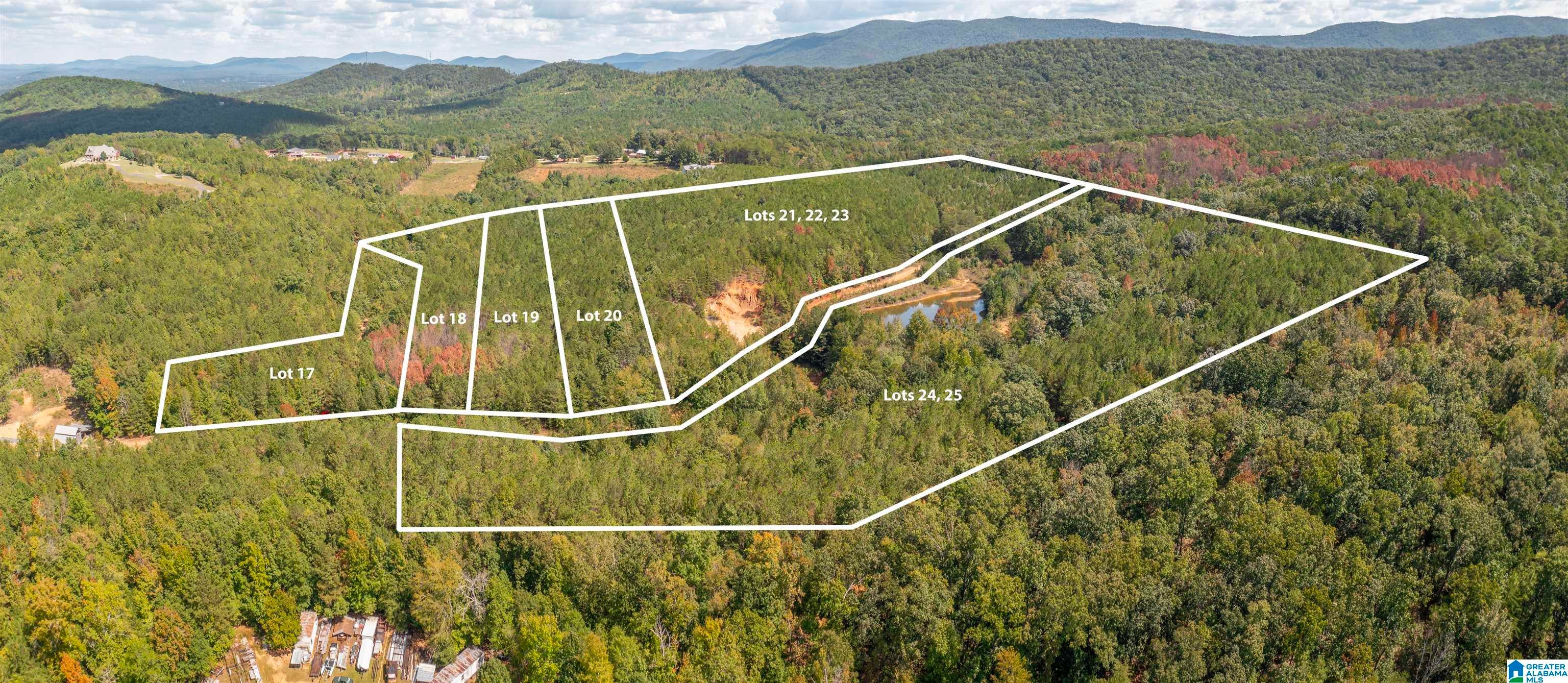 3 Acres FOREST EDGE LANE 20