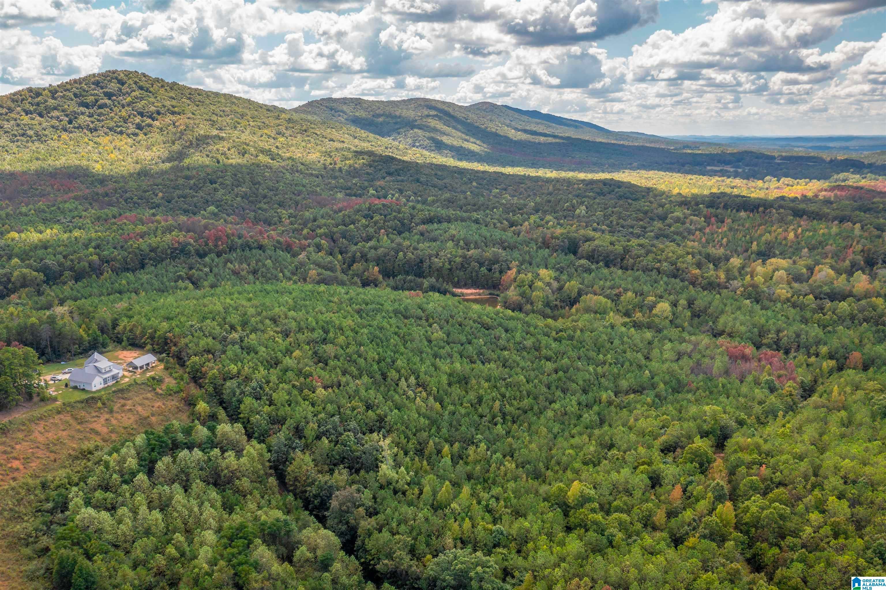 3 Acres FOREST EDGE LANE 20