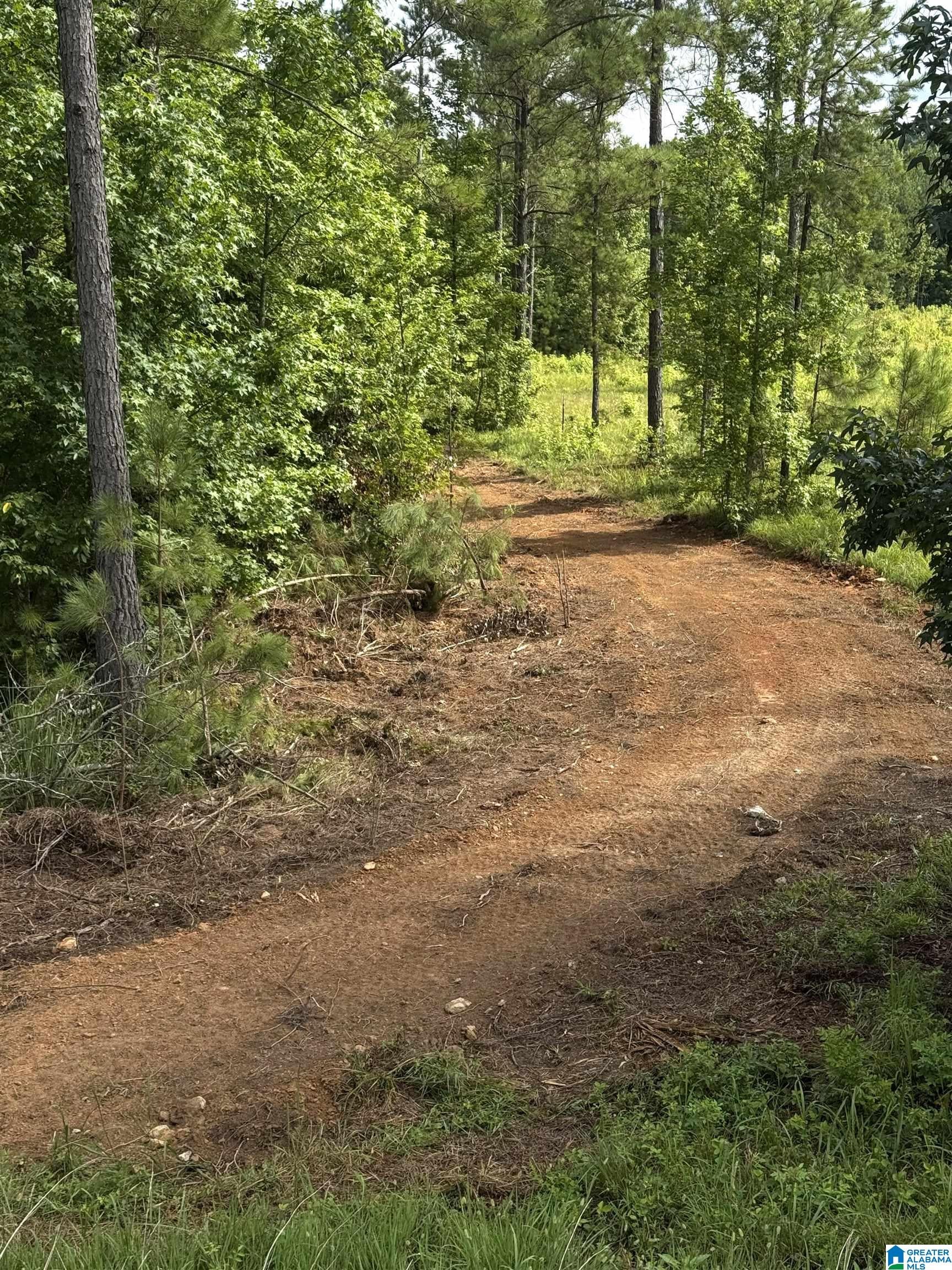 0 COUNTY ROAD 40 0
