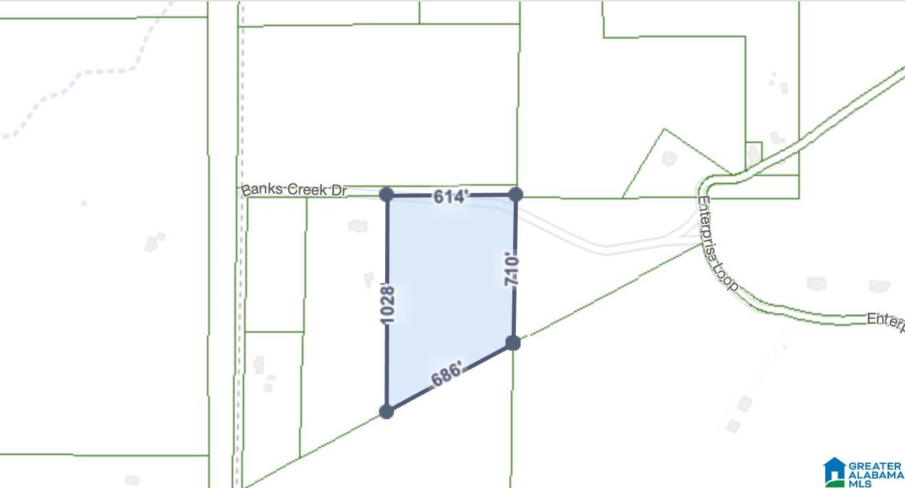 0 BANKS CREEK ROAD 1