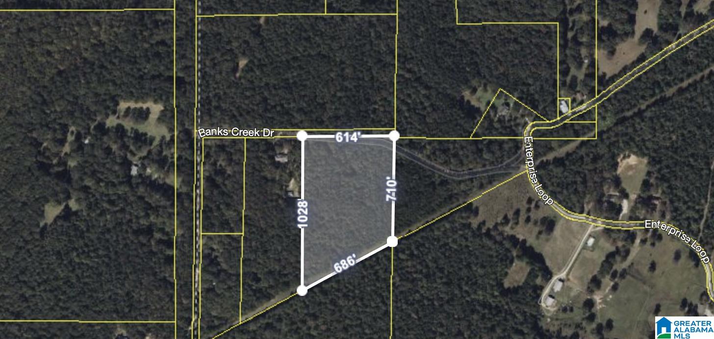 0 BANKS CREEK ROAD 1