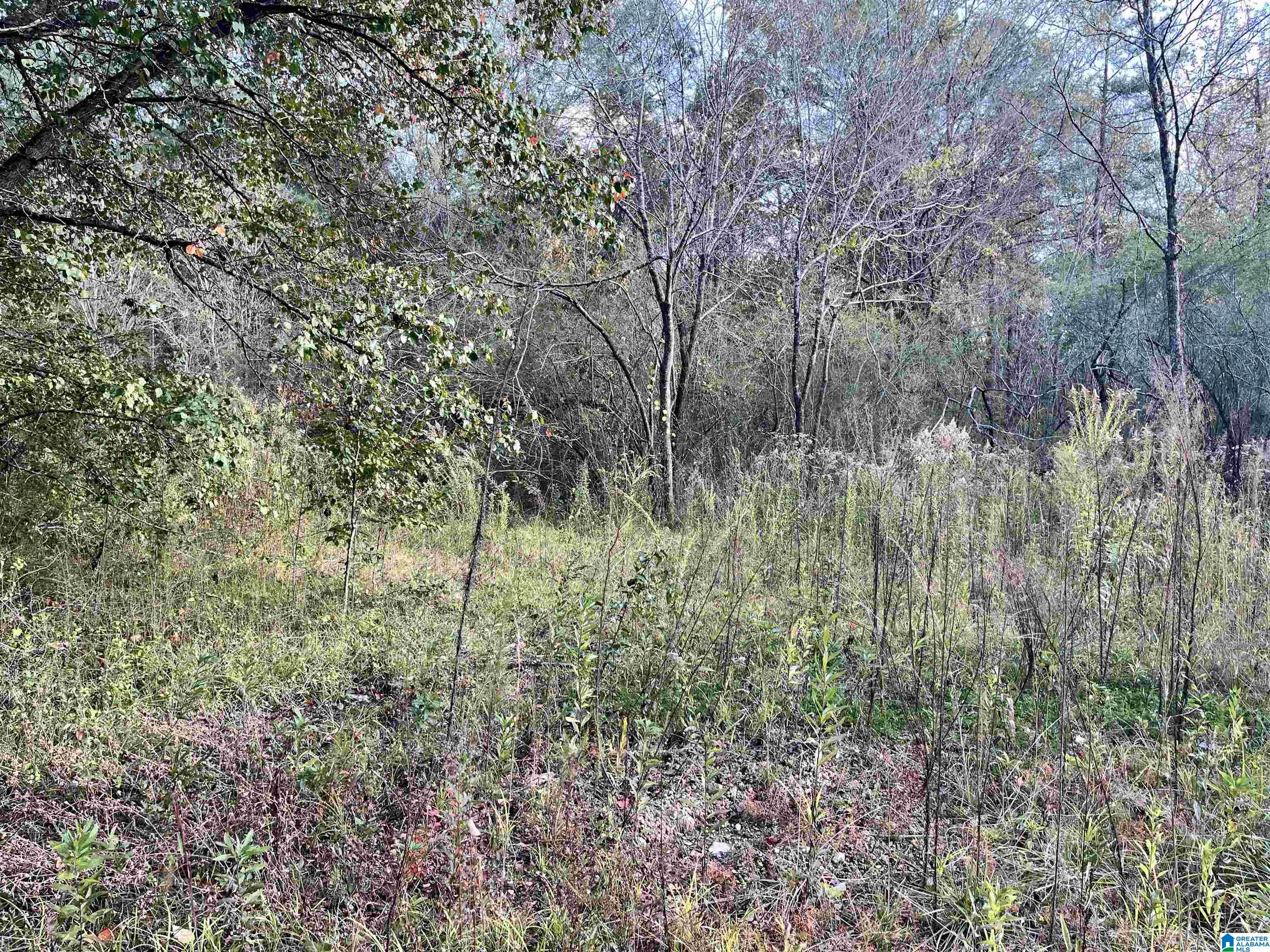 1720 PLEASANT VALLEY ROAD 1