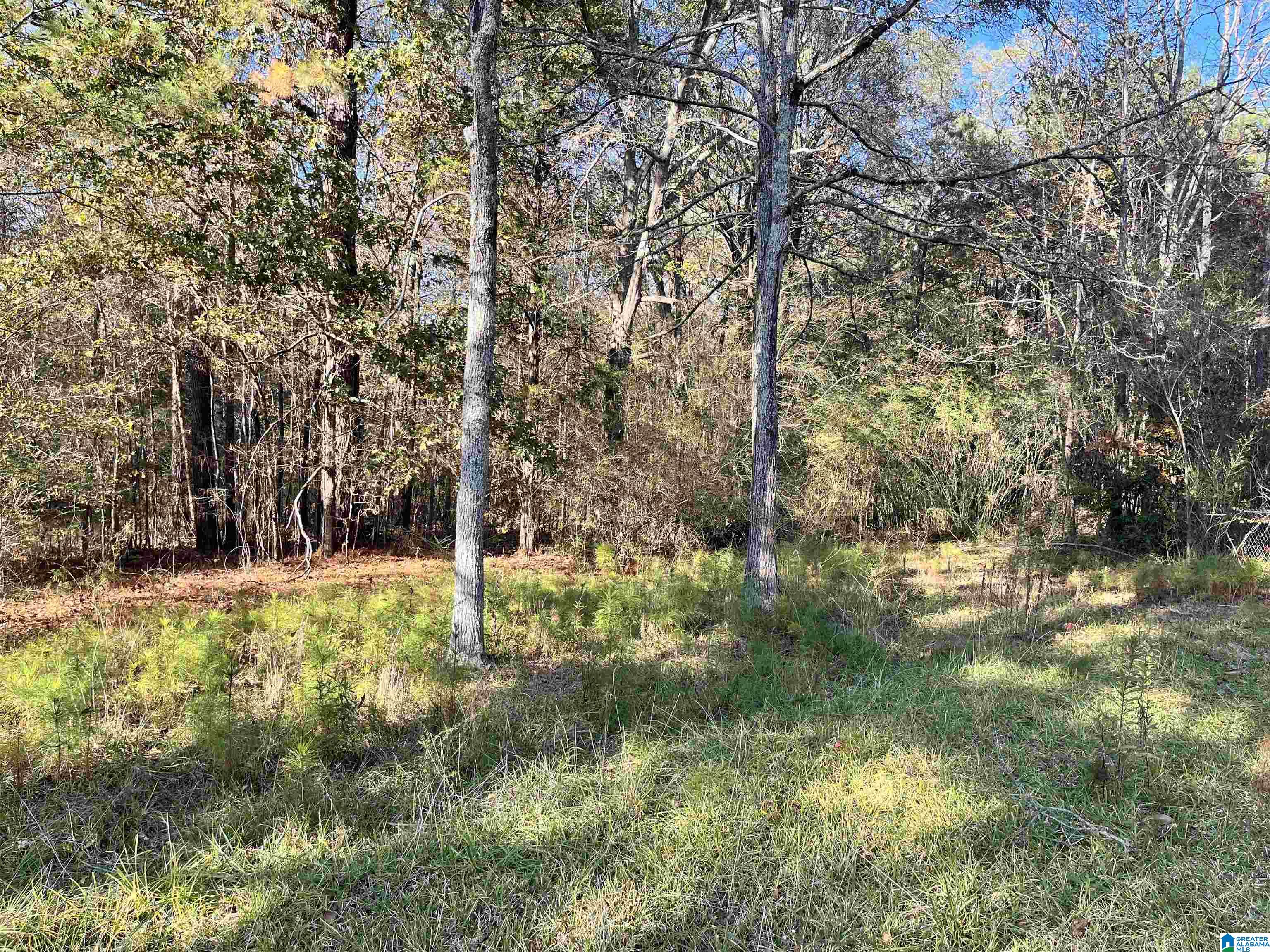 1720 PLEASANT VALLEY ROAD 1