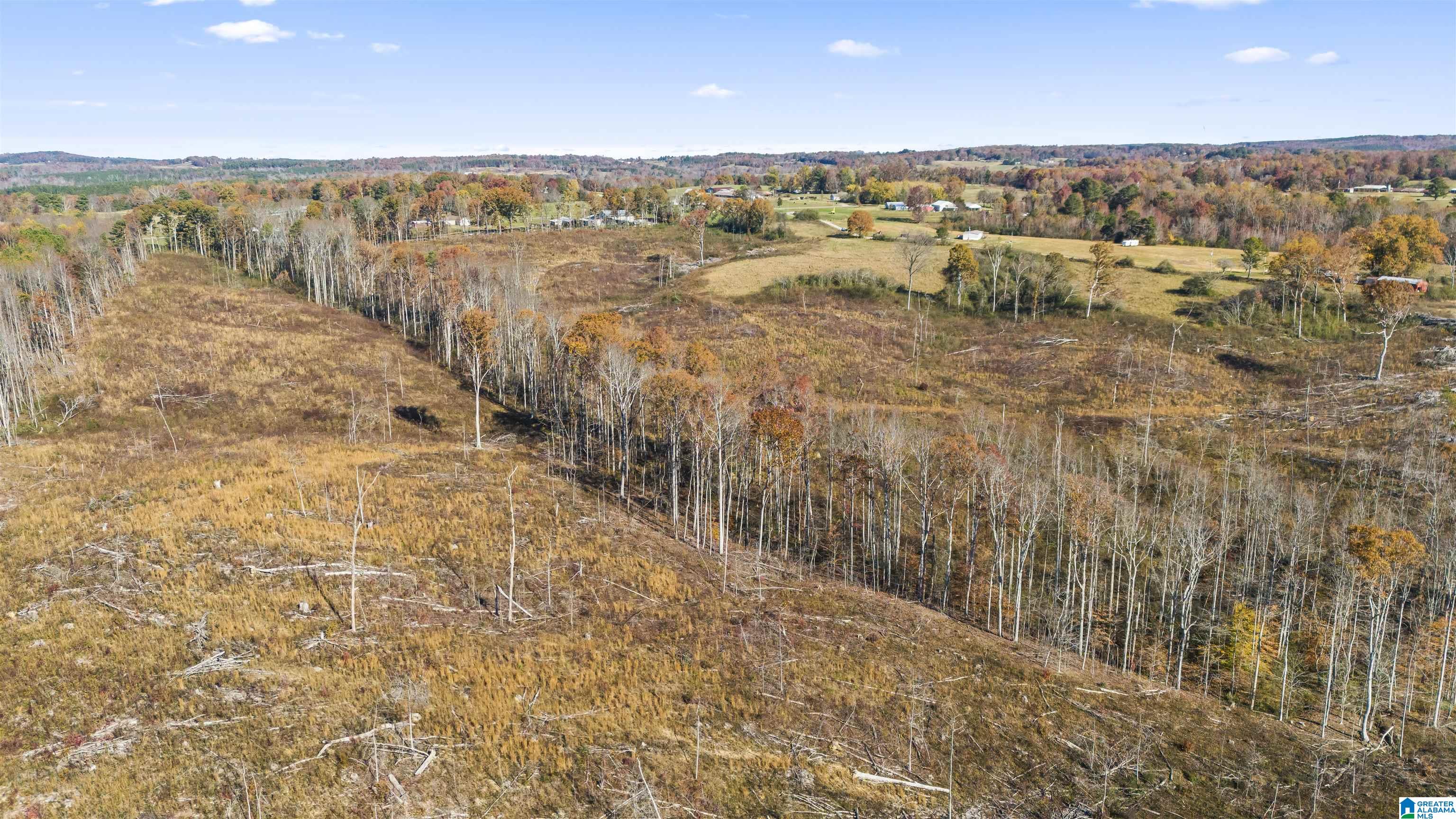 193 AC COUNTY ROAD 1069 0