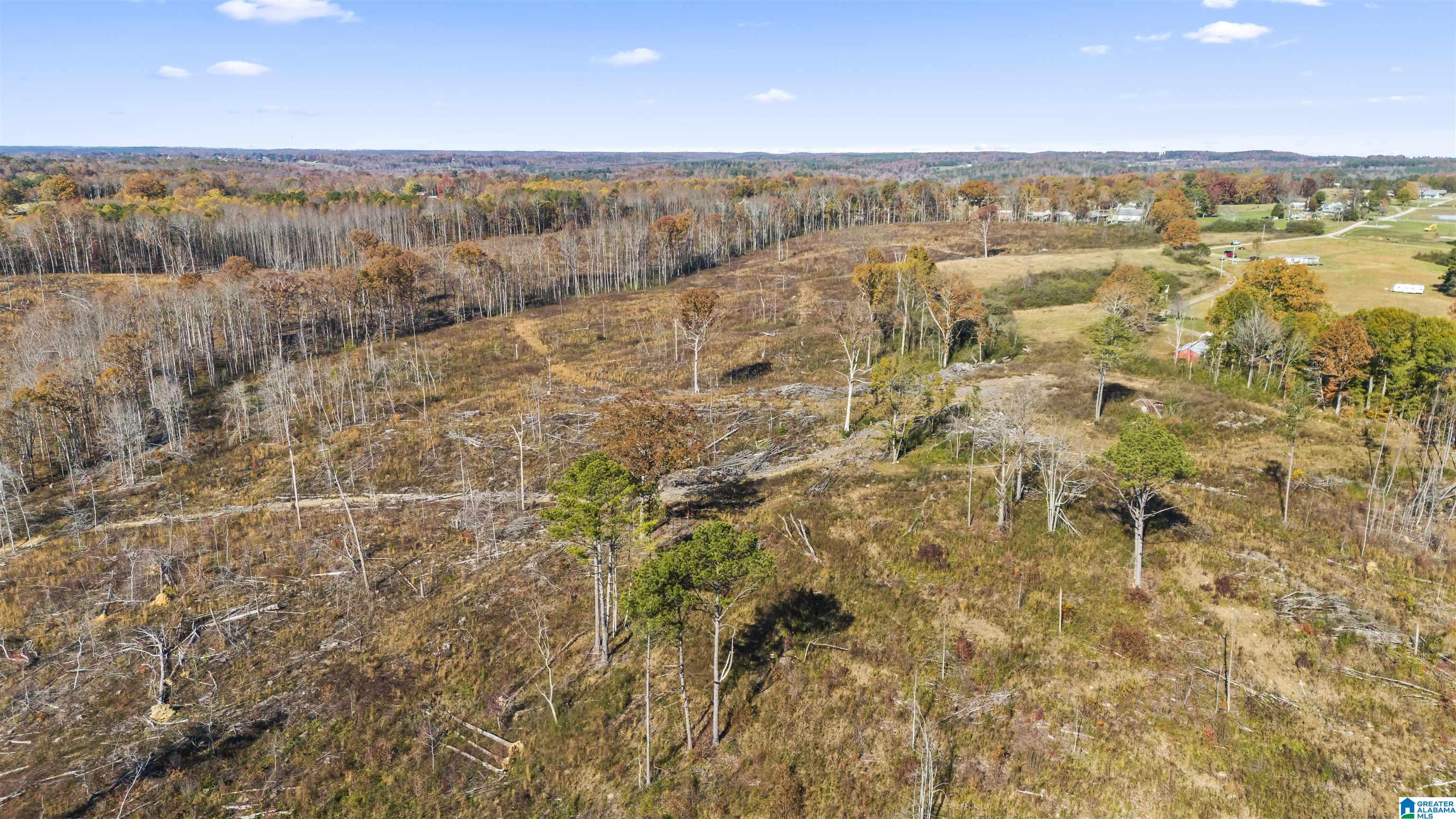 193 AC COUNTY ROAD 1069 0