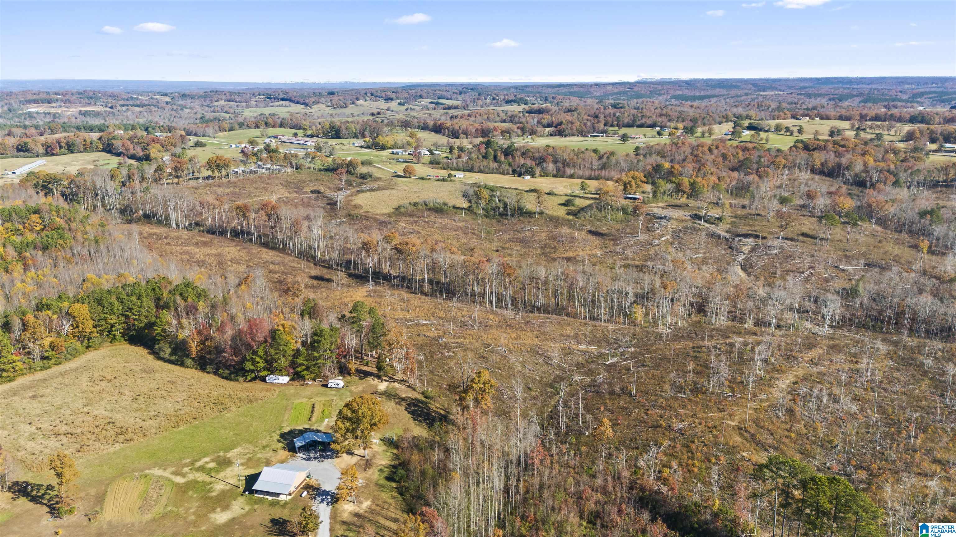 193 AC COUNTY ROAD 1069 0