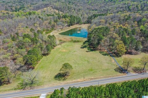 32728 HIGHWAY 411 ASHVILLE AL 35953