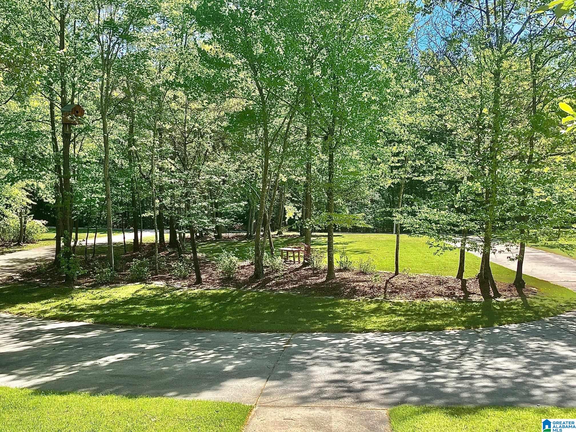 540 COUNTY ROAD 175