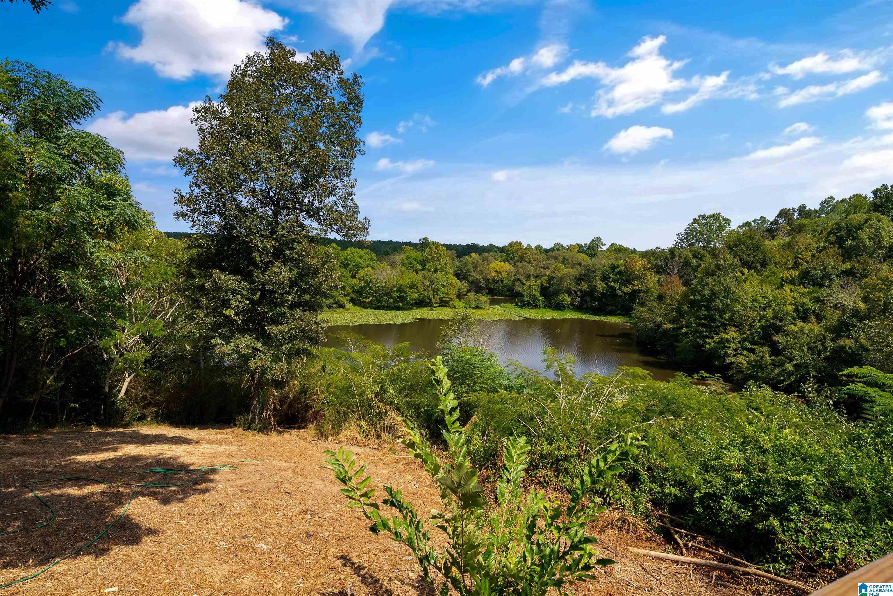 17385 SPENCERS COVE ROAD