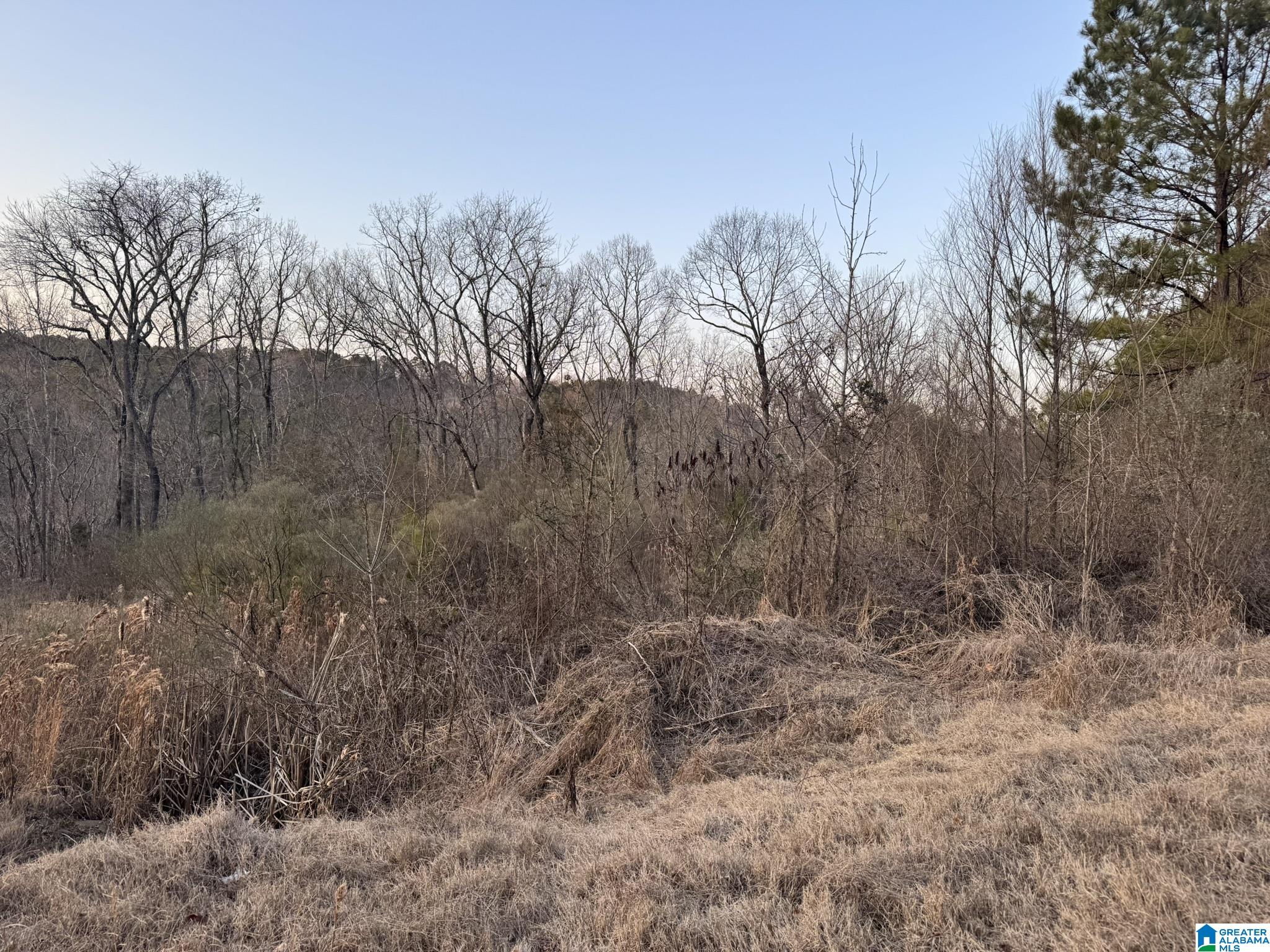 Photo 1 of 3 — 868 HOOVER ROAD 0, QUINTON, AL 35130
