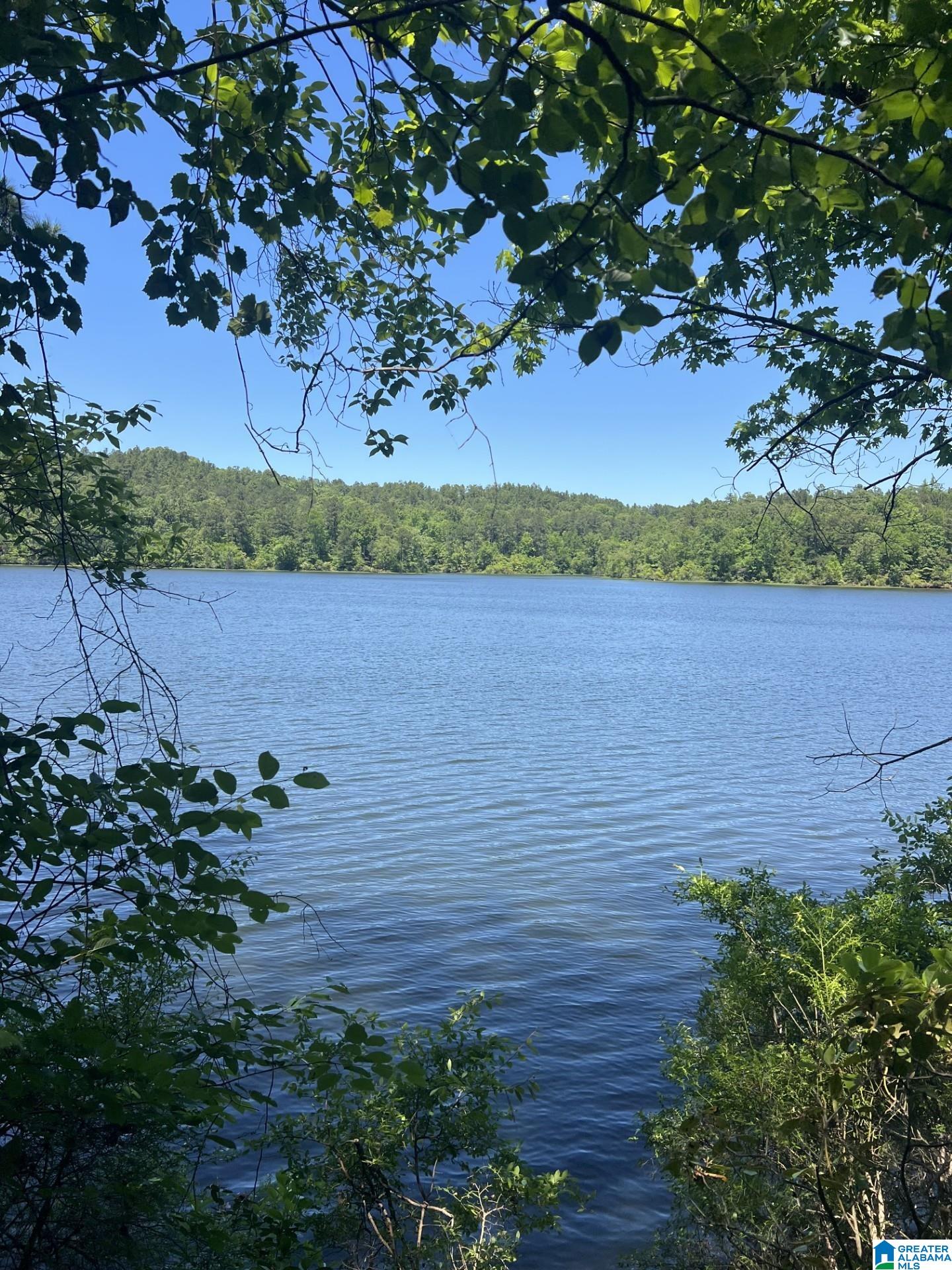 Photo 1 of 2 — Lots 2 and 3 EAGLE MOUNTAIN ROAD 2 & 3, ROCKFORD, AL 35136