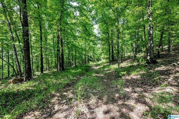 140 HAMPTON LAKE DR, PELHAM, AL 35124 - Image f8818e34df9aced0fb09d8a523a9d2e2/284409941