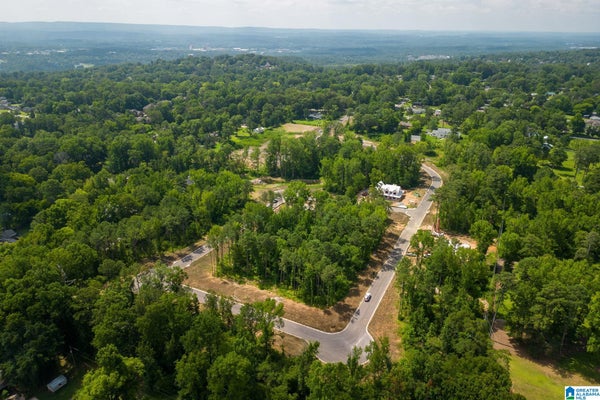 3412 SMITH FARM DR # 43, HOOVER, AL 35226 - Image f8dab7abda9bea59cde37254939245d3/979132967