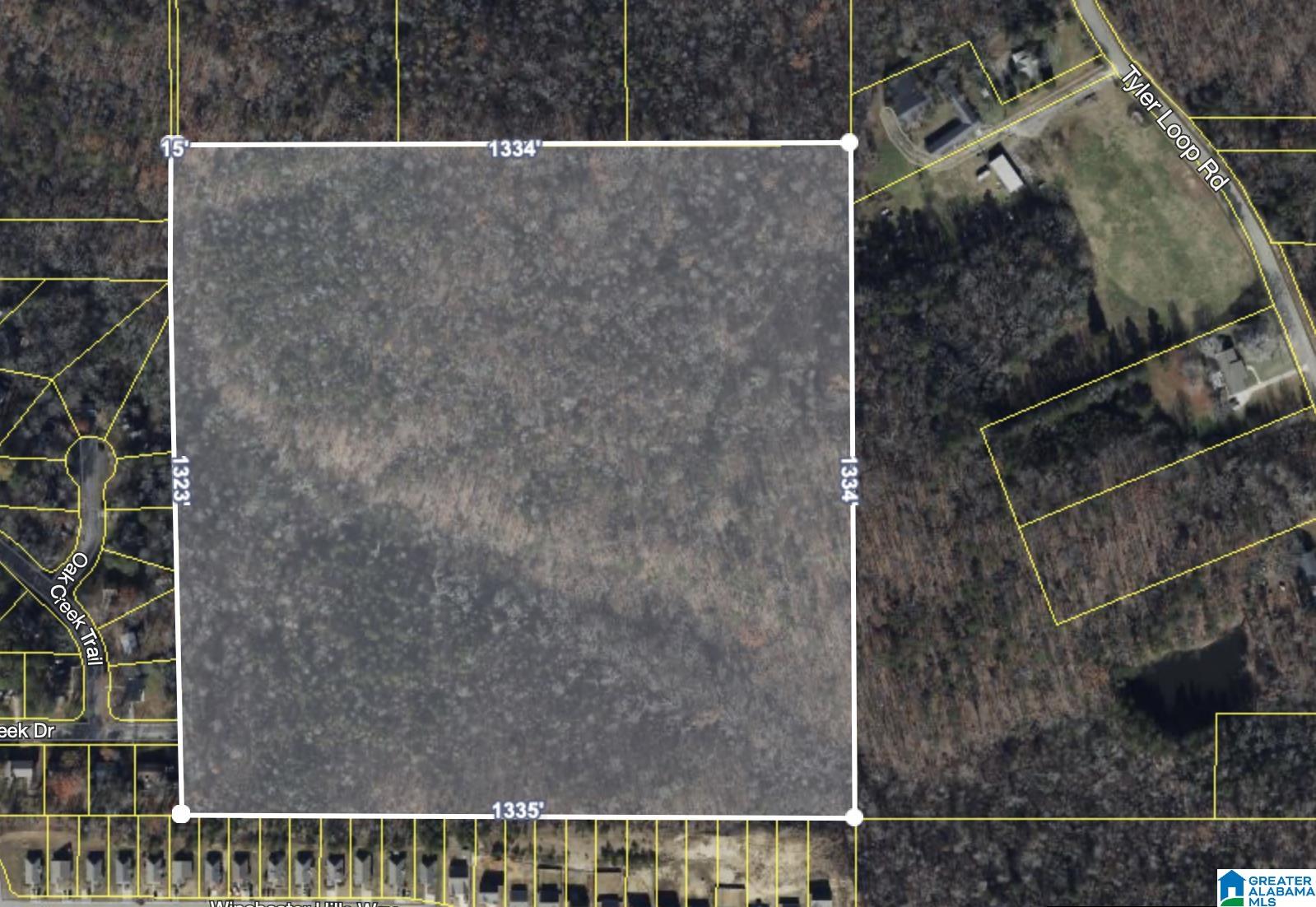 5442 TYLER LOOP ROAD 0