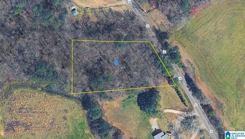 1150 COUNTY ROAD 88 - HENAGAR AL 35979