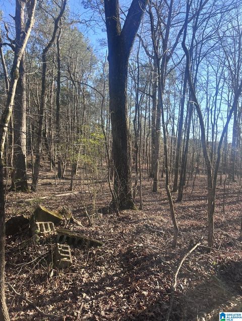 RENAEE CIRCLE 18 MCCALLA AL 35111