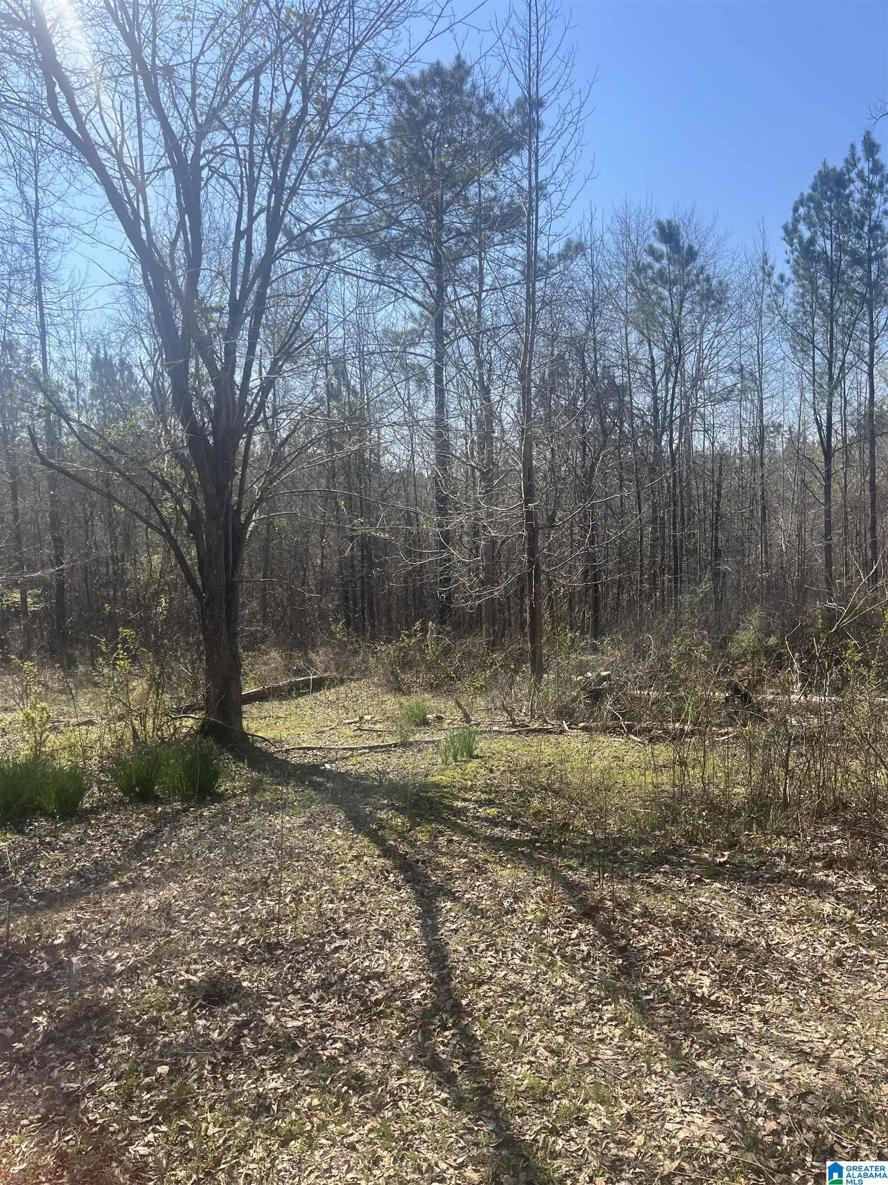 0 CRYSTAL LAKE ROAD 0