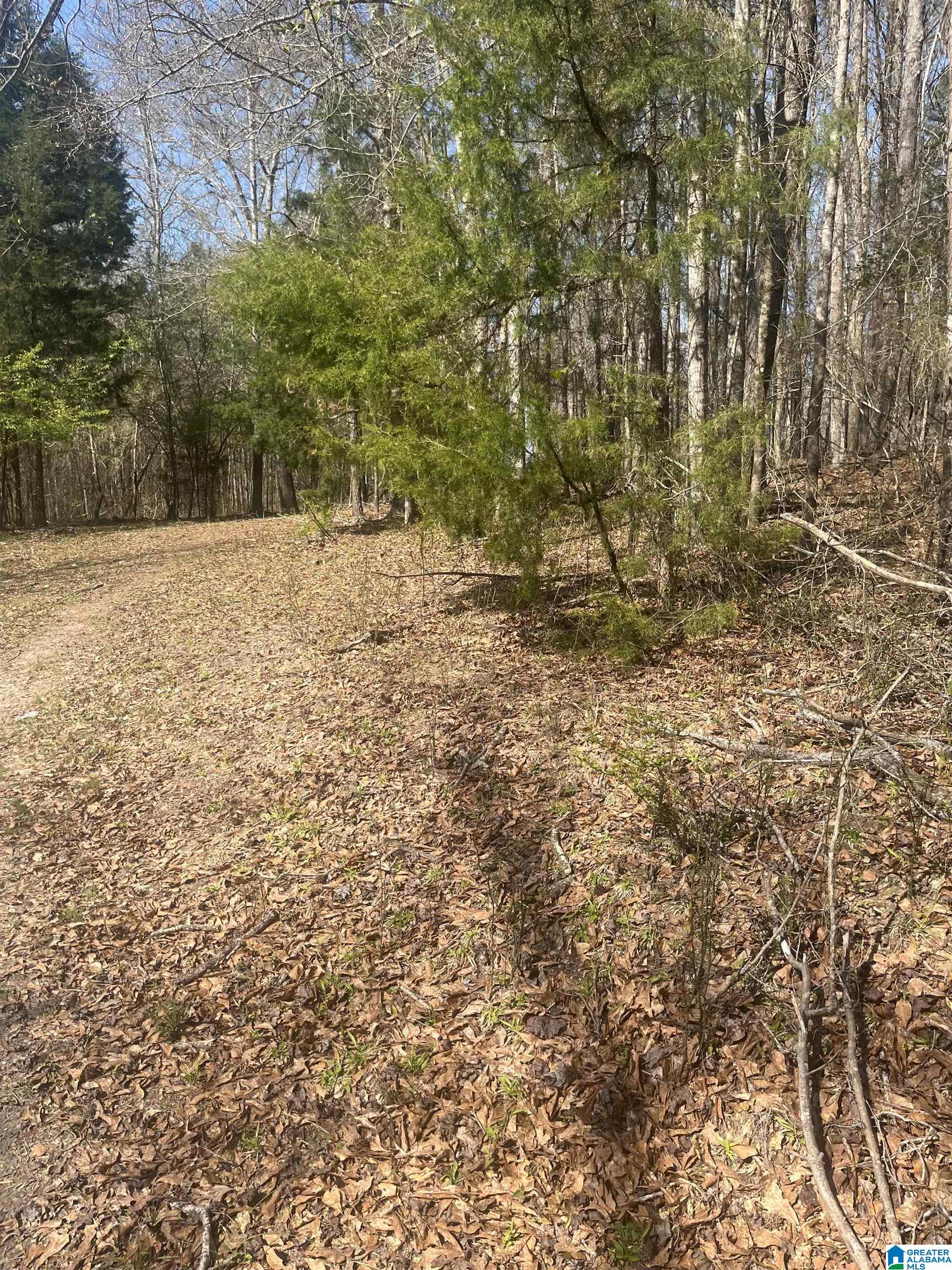 0 CRYSTAL LAKE ROAD 0