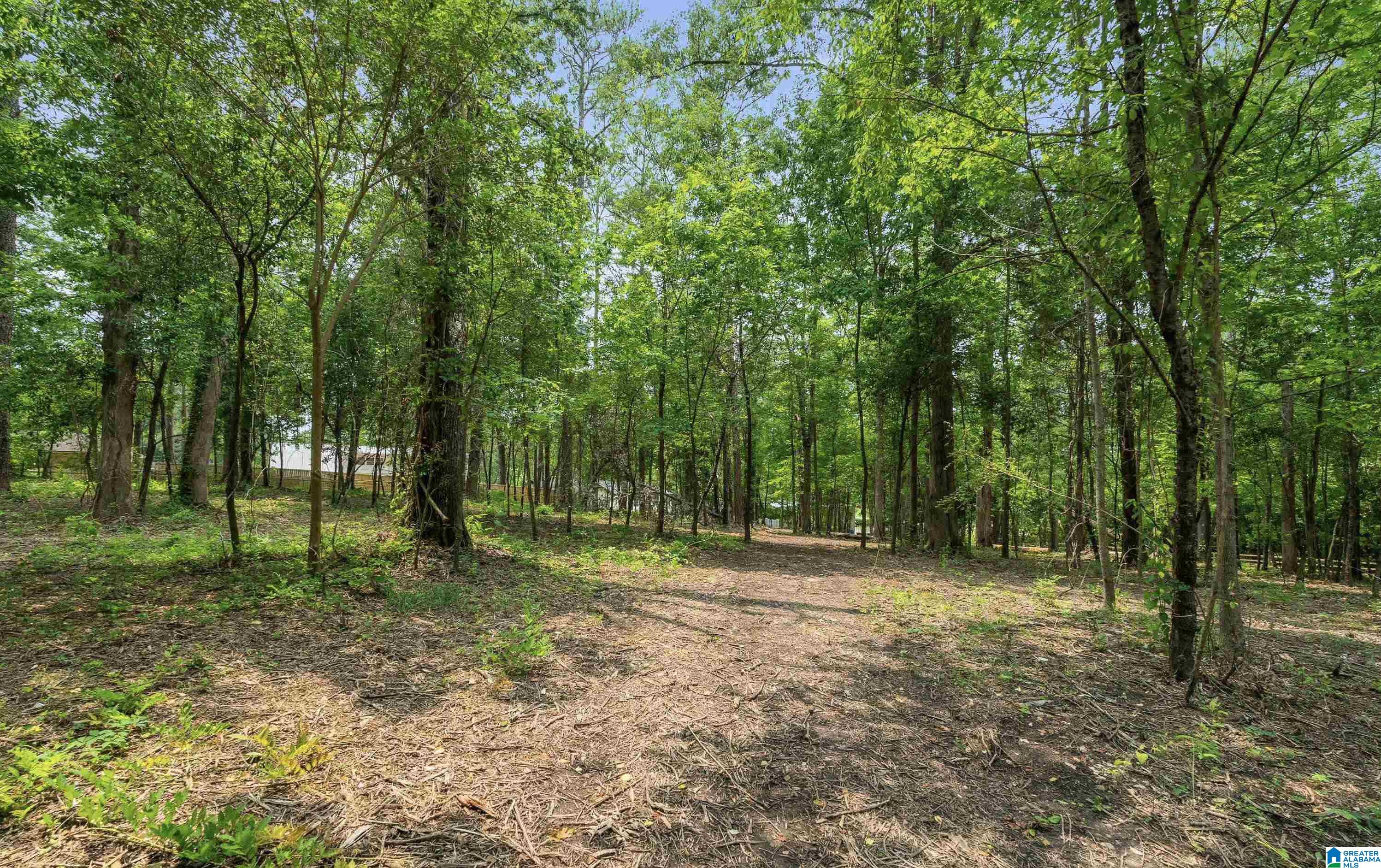 Photo 1 of 9 — 3420 PRIMM LANE 1, HOOVER, AL 35216