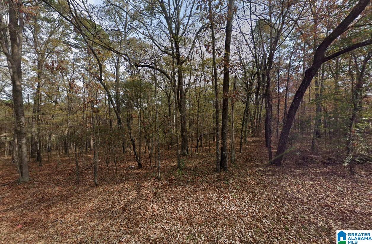 575 FUNDERBURG BEND ROAD -