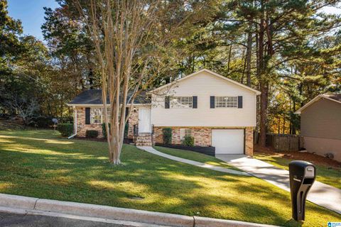 521 LASALLE LANE IRONDALE AL 35210