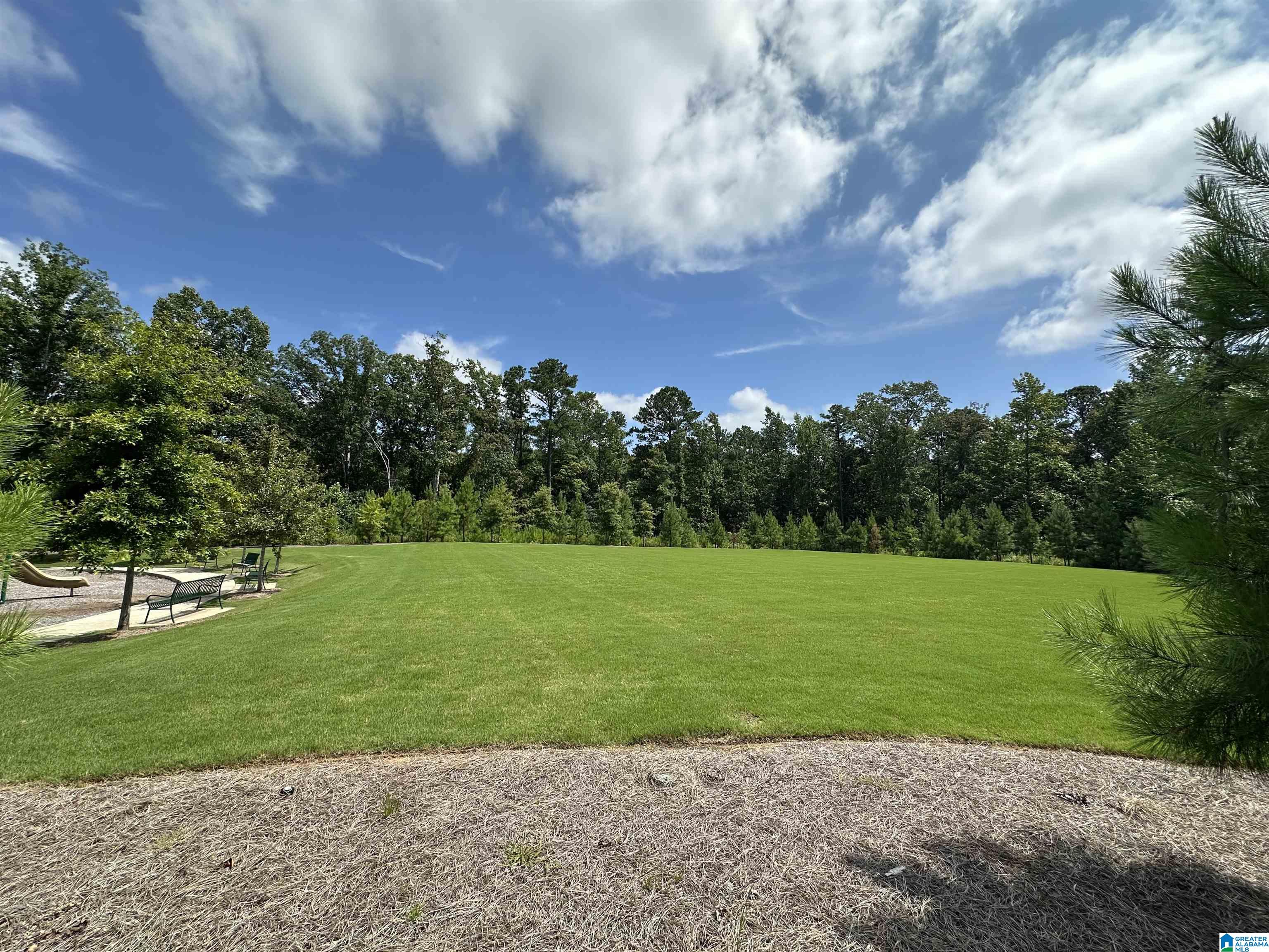 1017 GRAND RIVER BOULEVARD W