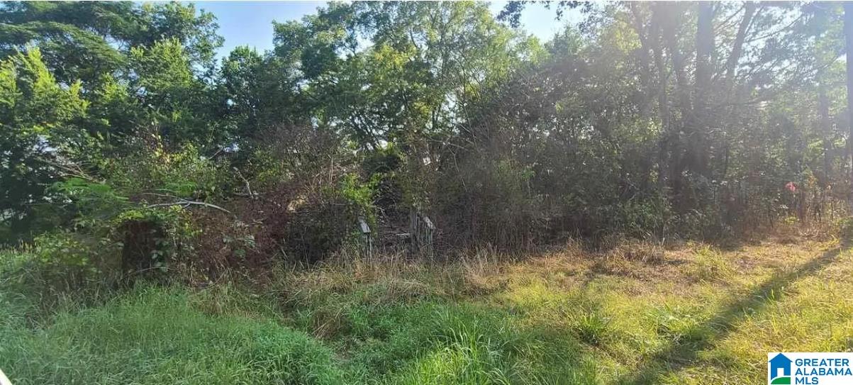 Photo 1 of 2 — 4630 PLYMOUTH AVENUE 9, ADAMSVILLE, AL 35005