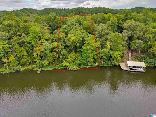 LAKE FRONT TRL, CLANTON, AL 35046 - Image fbdbff464fb1a02898af33f9048edf34/99110491