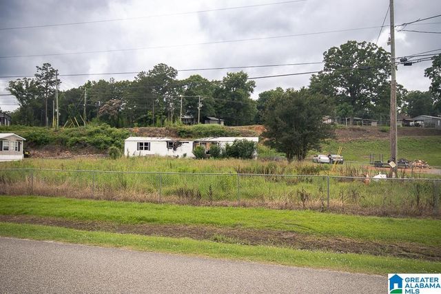 95 CLEAR SPRINGS WAY Lot 29