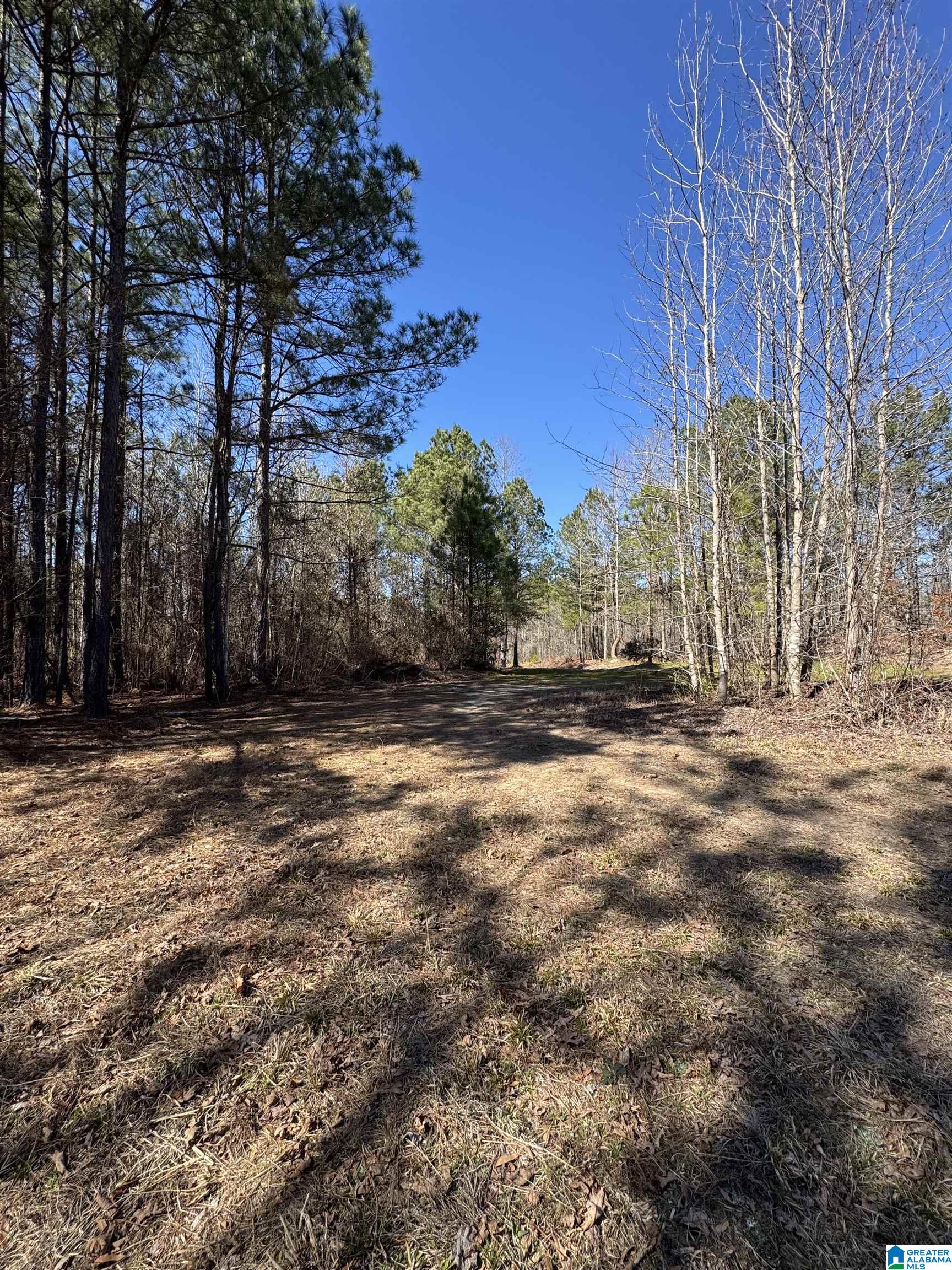 19063 WESTSIDE ROAD 6