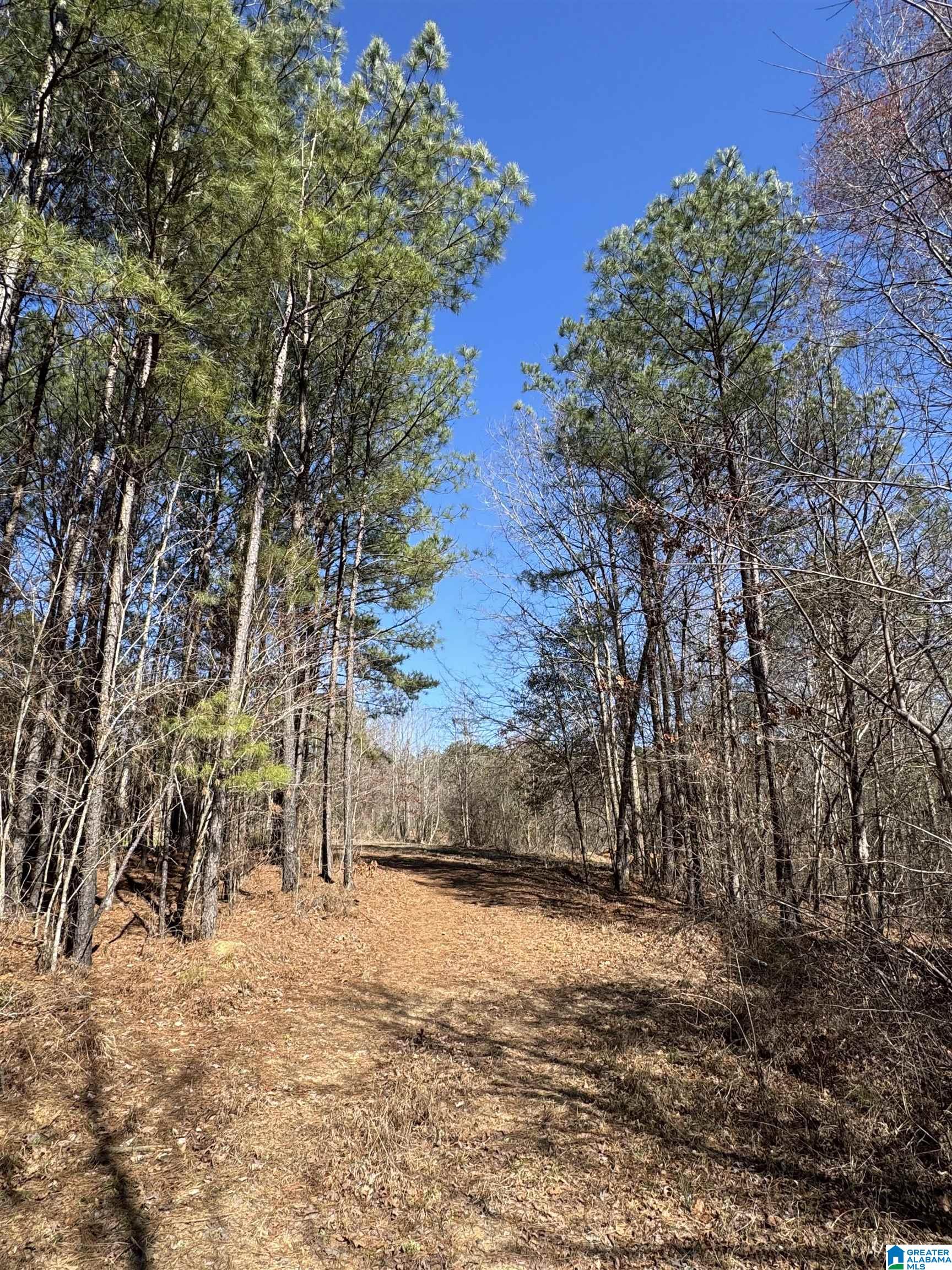 19063 WESTSIDE ROAD 6