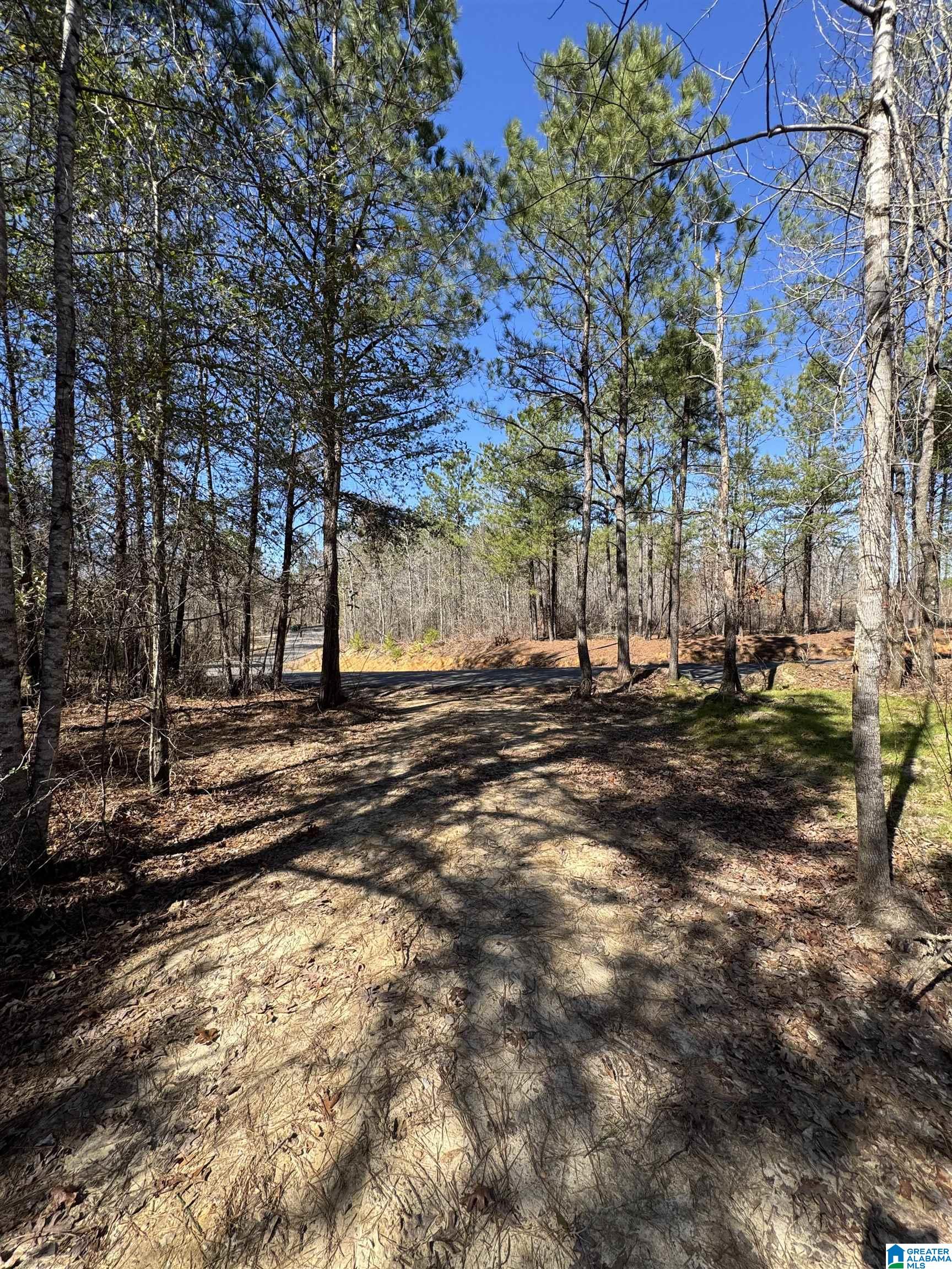 19063 WESTSIDE ROAD 6