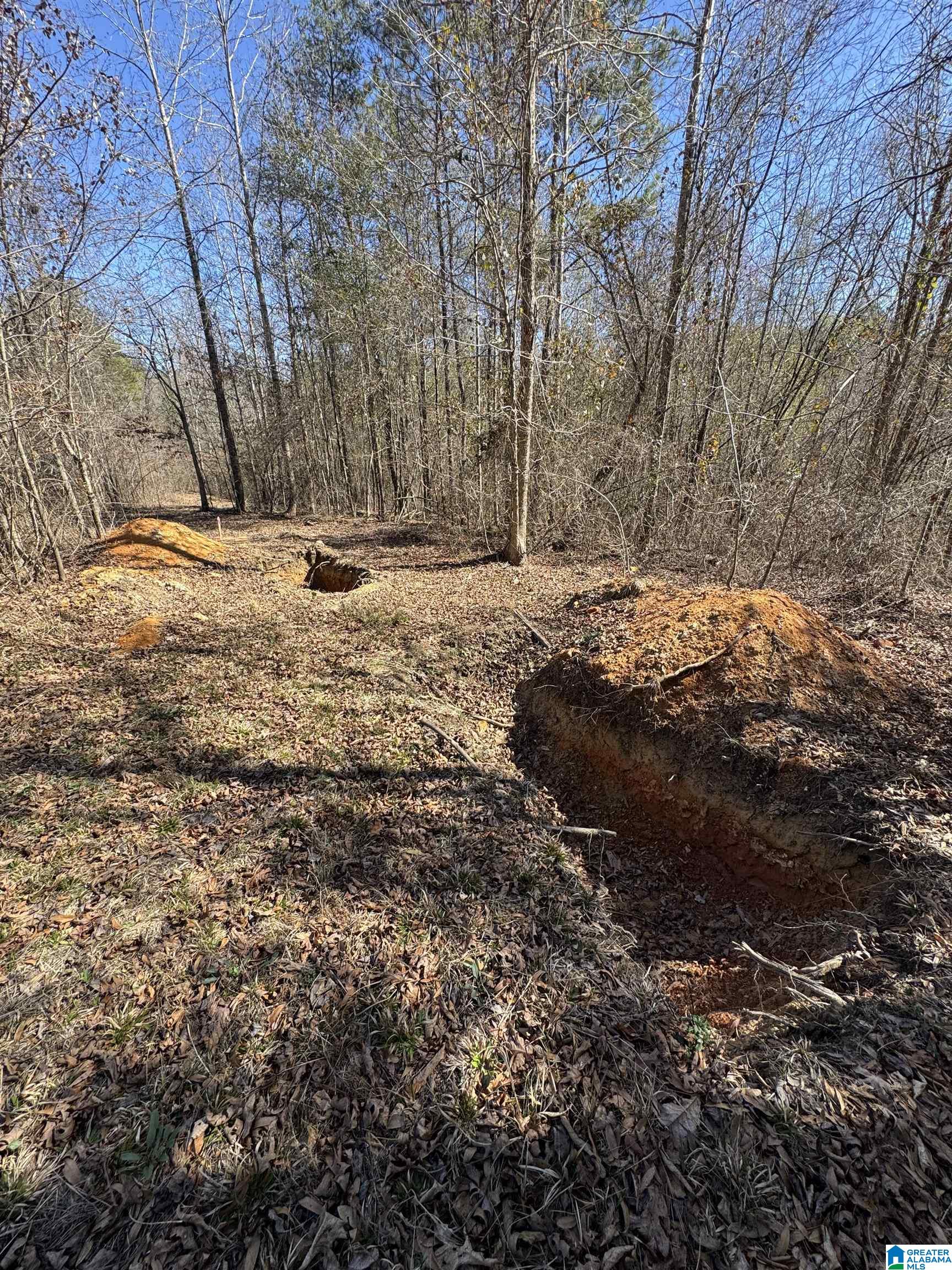 19063 WESTSIDE ROAD 6