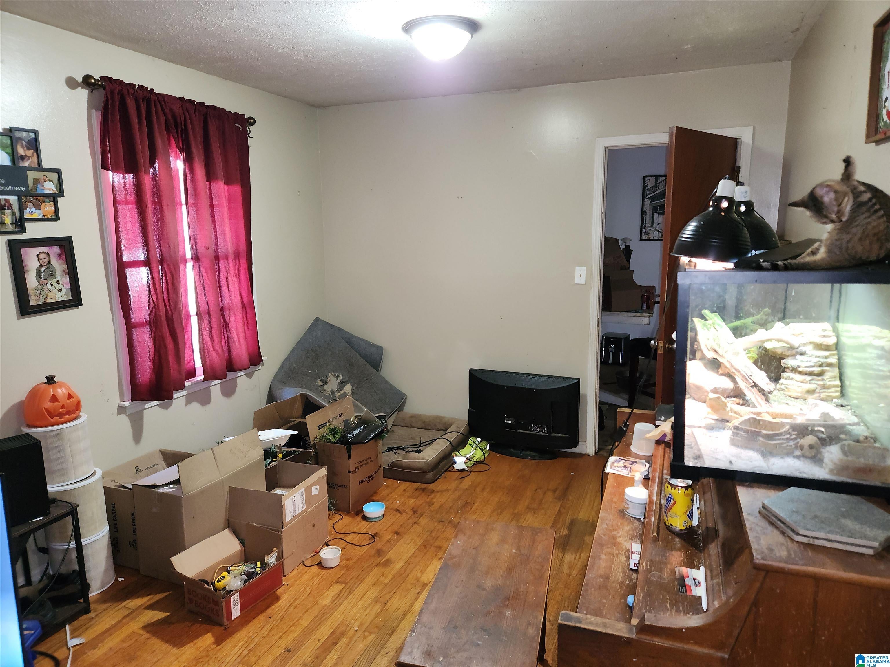911 ALEXANDRIA ROAD
