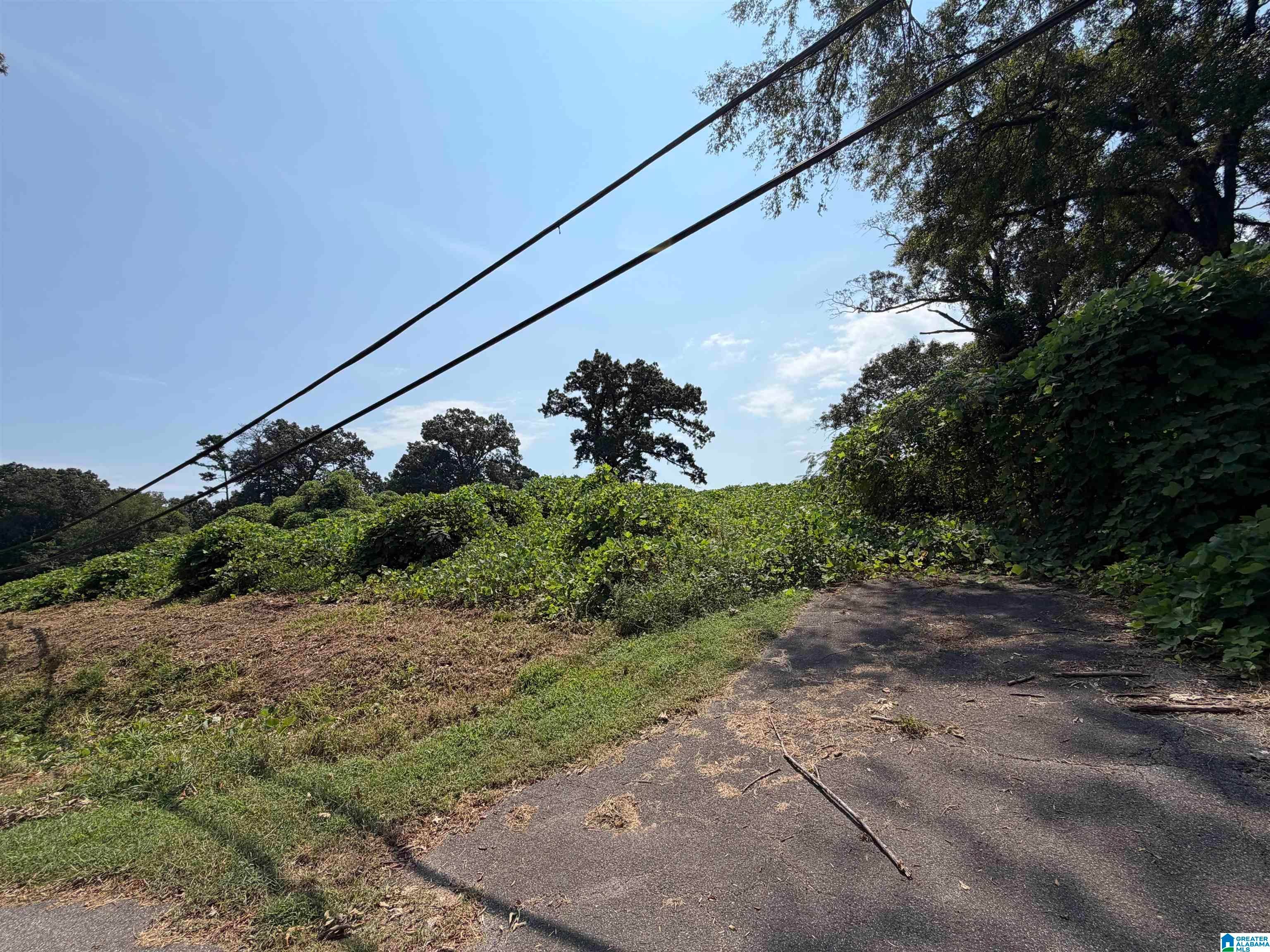 2528 SAYERS ROAD 0
