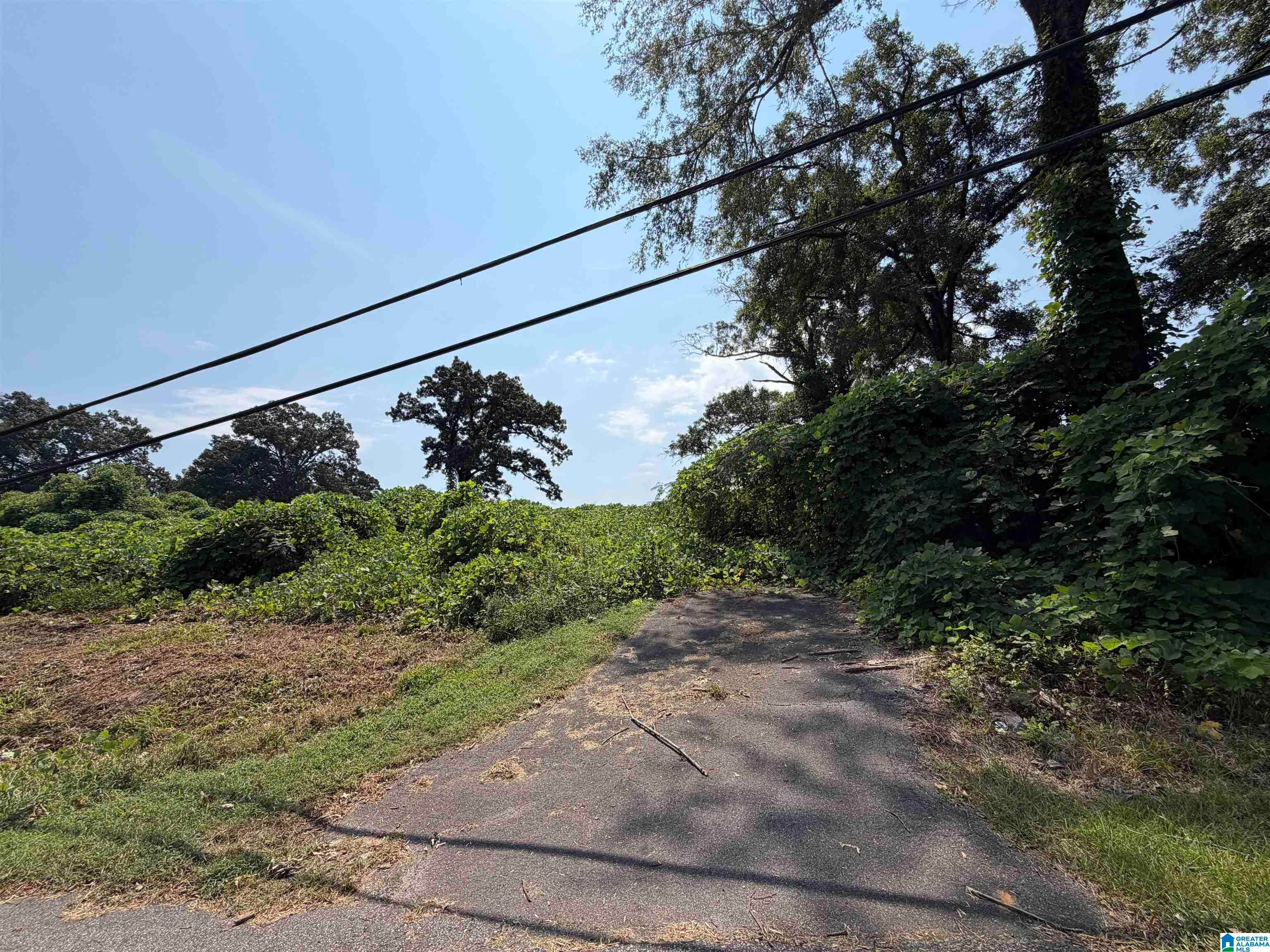 2528 SAYERS ROAD 0