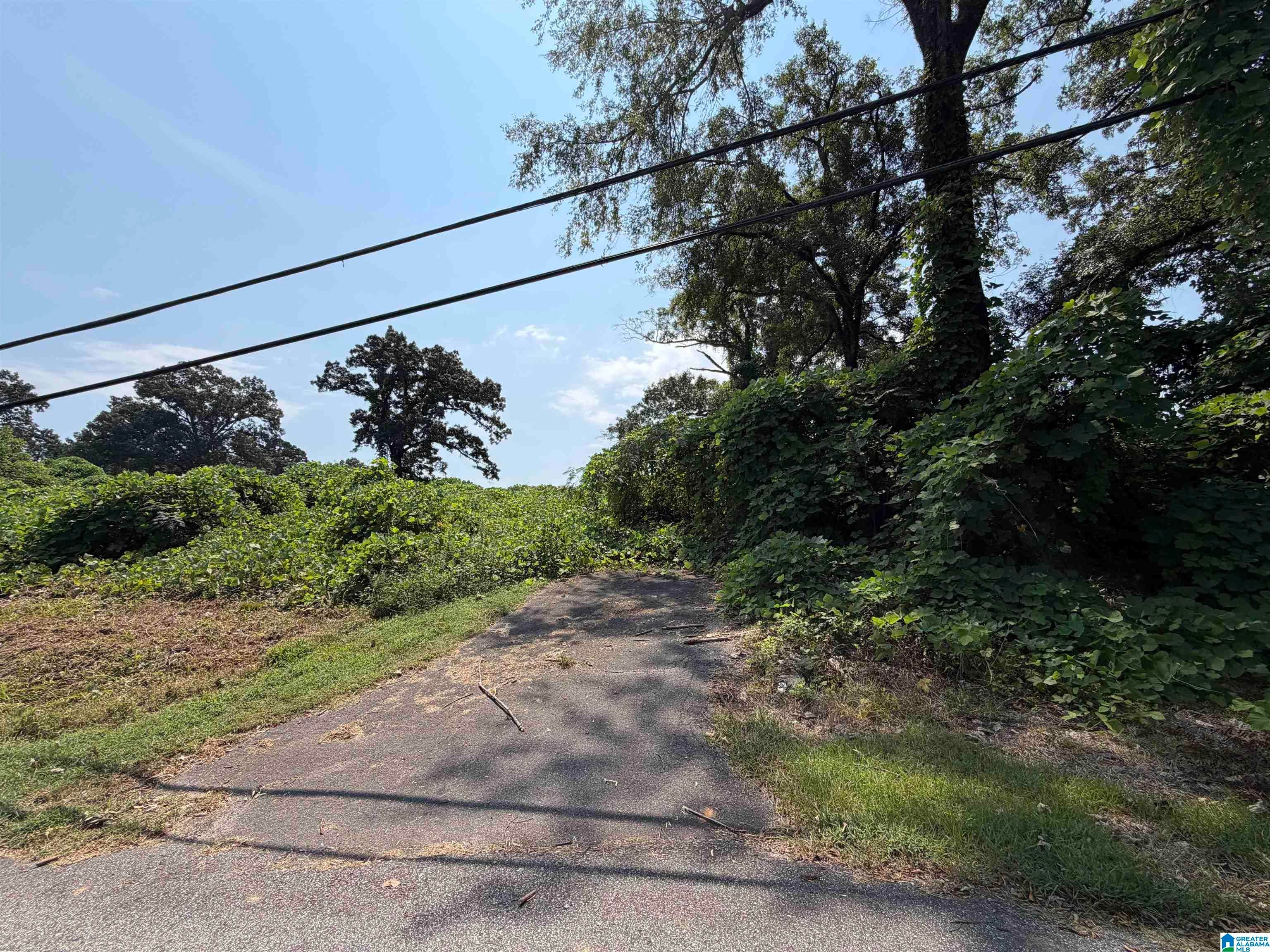 2528 SAYERS ROAD 0