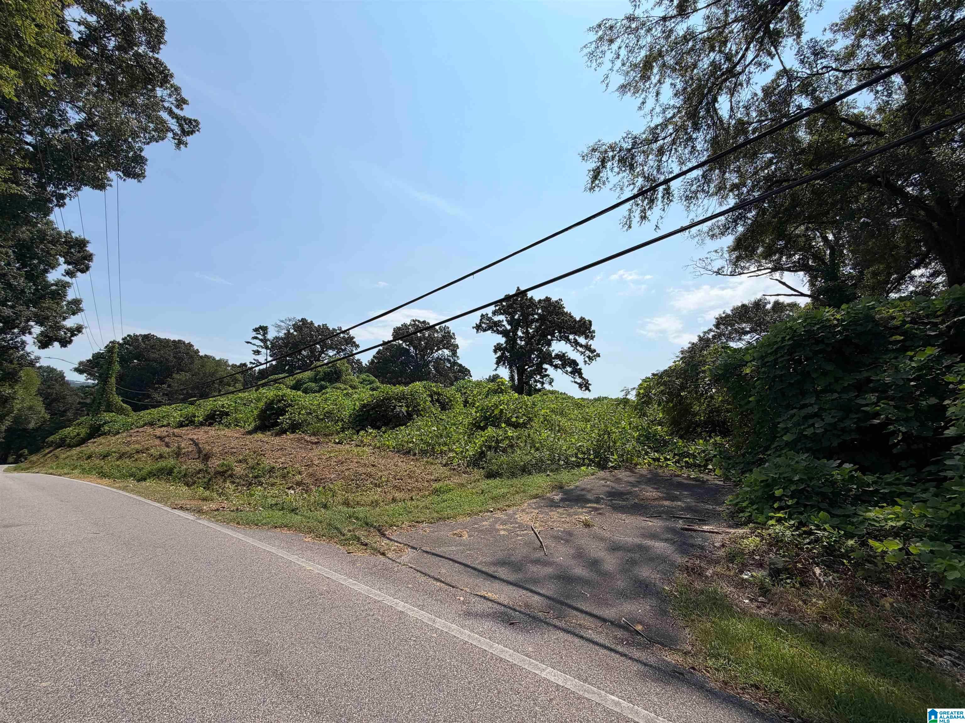 2528 SAYERS ROAD 0