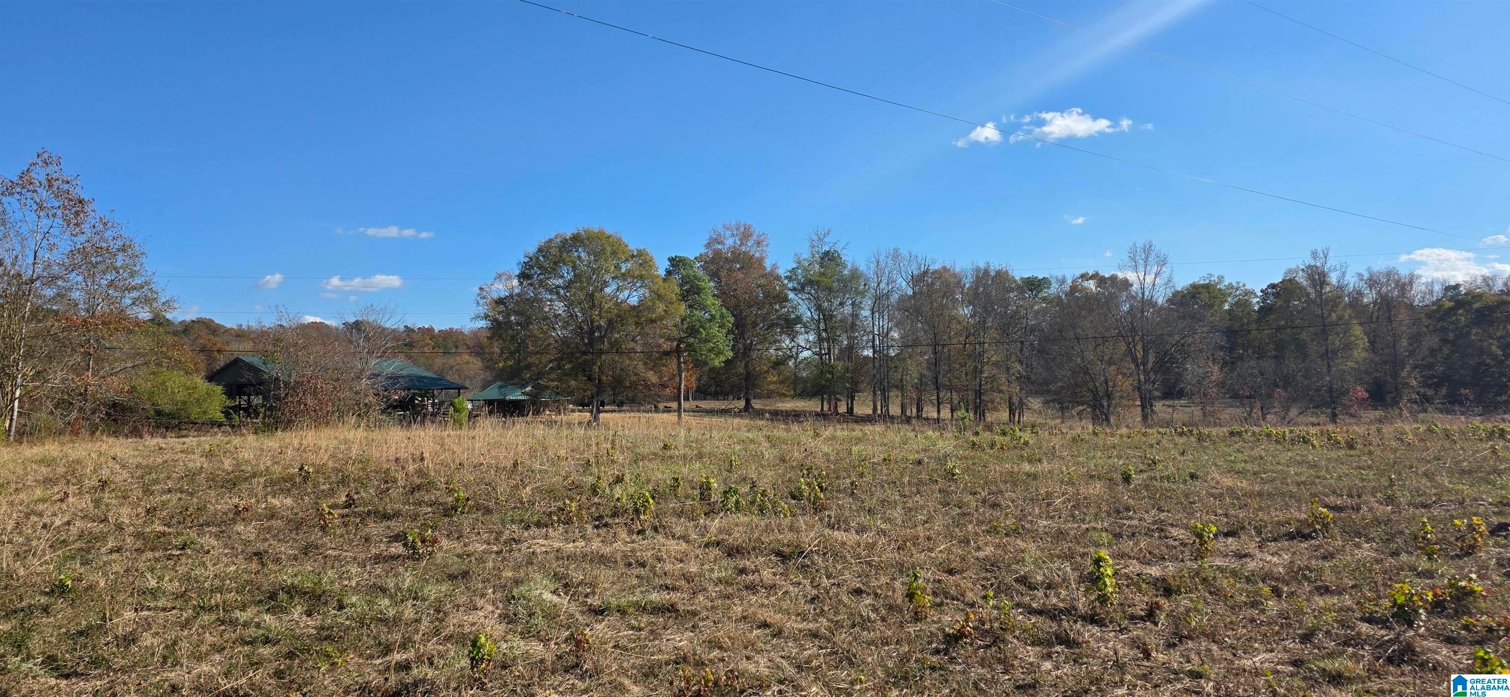 663 GRAHAM DRIVE Lot 1