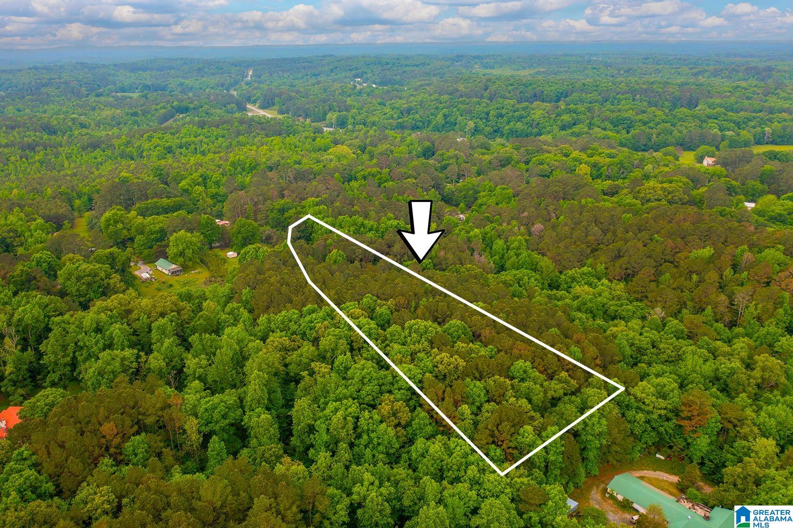 0 SPUNKY HOLLOW ROAD 1