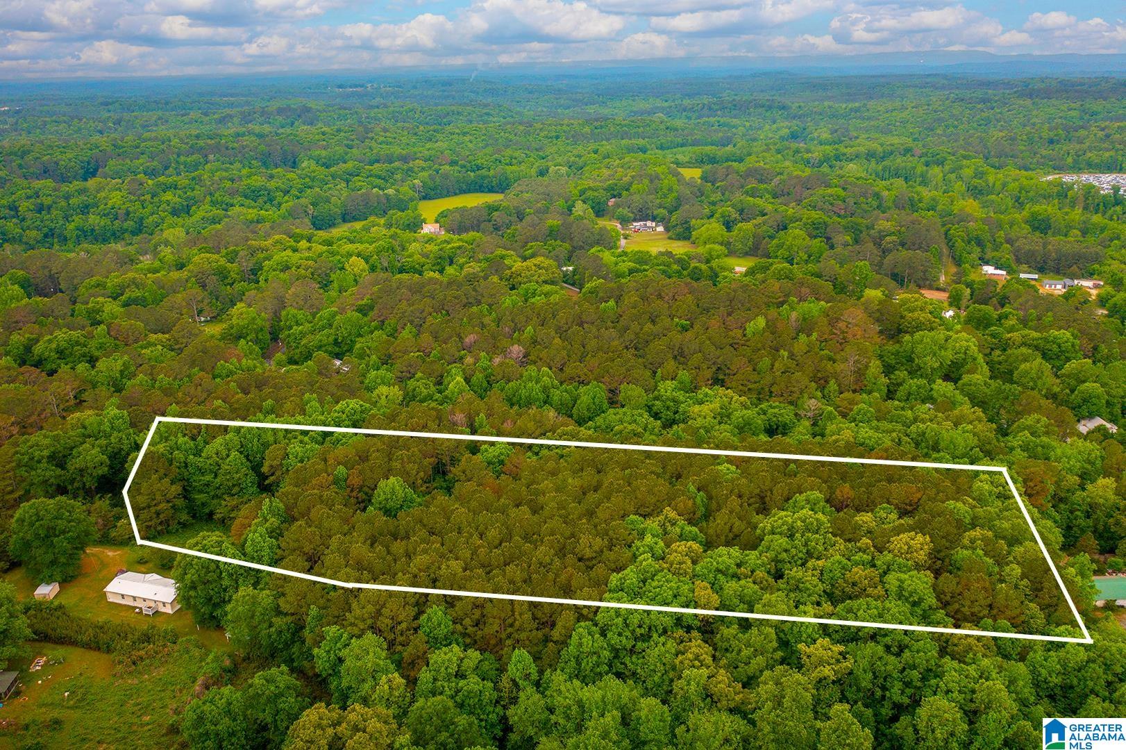 0 SPUNKY HOLLOW ROAD 1