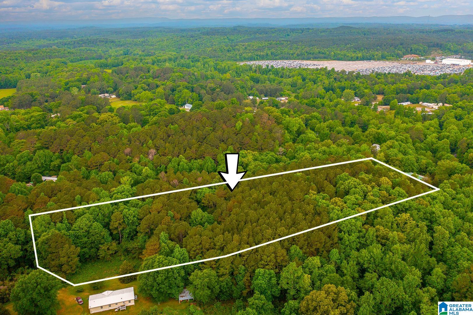 0 SPUNKY HOLLOW ROAD 1