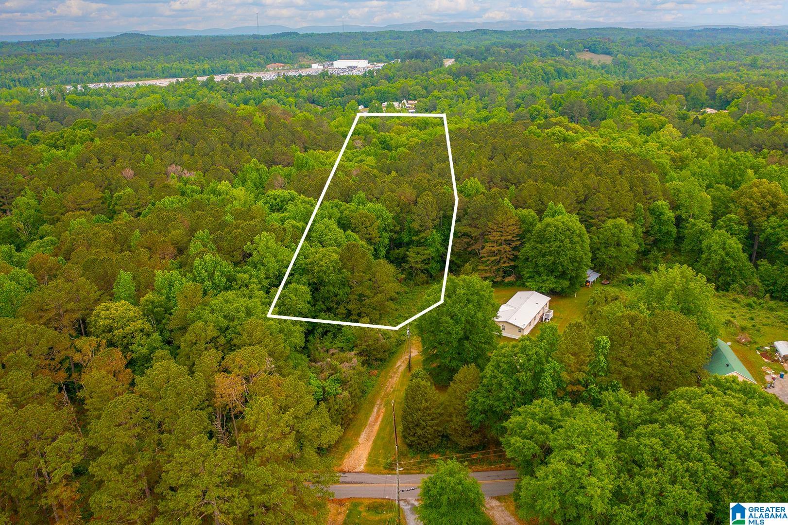 0 SPUNKY HOLLOW ROAD 1