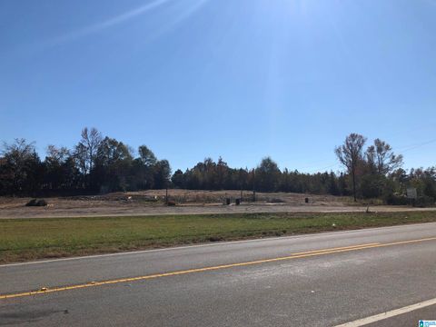 0 COUNTY ROAD 453 1 CLANTON AL 35046
